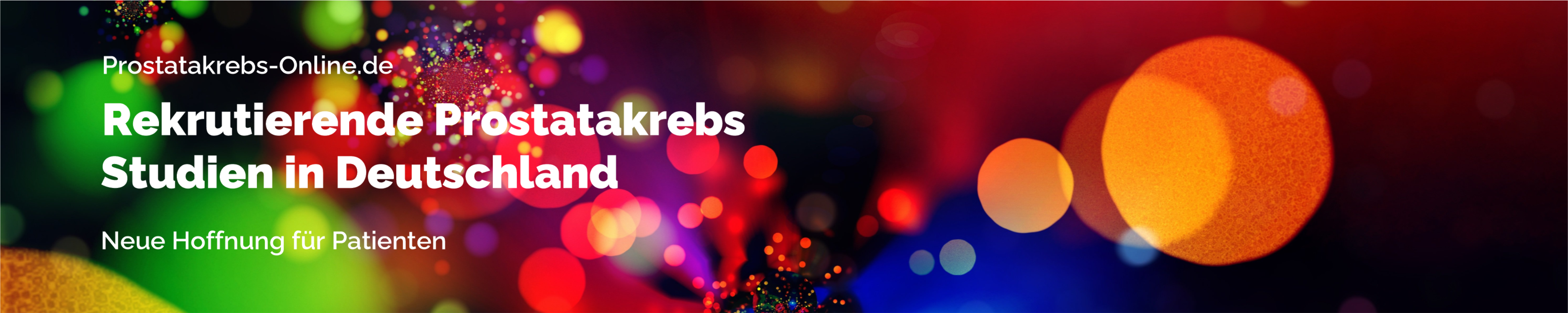 Beschreibung des Bildes